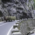 Bicaz, romania, europe, gorges