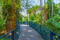 Bicentennial Conservatory at Botanic garden in Adelaide, Australia Royalty Free Stock Photo