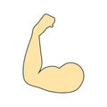 Flat design icon of Bicep