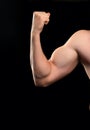 Biceps beginner bodybuilder Royalty Free Stock Photo