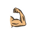 Biceps doodle icon, hand drawn vector color line illustration Royalty Free Stock Photo