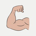 Biceps hands, strong arm, trained muscles. Vector. Royalty Free Stock Photo