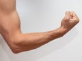 Biceps on white background. Concept of strength and muscle growth Royalty Free Stock Photo