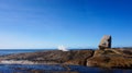 Bicheno Blowhole with Fountain, Tasmania, Australia