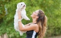 Bichon bolognese dog with beautiful in the park