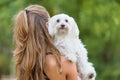 Bichon bolognese dog with beautiful in the park