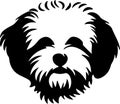 bichon frise Black Silhouette Generative Ai