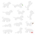 Bichon frise dog breed icon set. Vector.