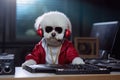 Bichon Frise Dog Dressed As A Rapper At Work