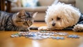Bichon Frise and Scottish Fold cat piecing together puzzle on the floor Royalty Free Stock Photo