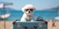 Bichon Frises Tropical Retreat Sunglasses and Beach Suitcase - travel and holiday concept. Generative AI