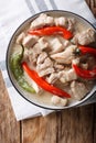 Bicol Express with red and green chili close-up in a bowl. Vertical top view