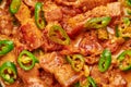 Bicol Express Stew close up. Filipino cuisine spicy pork belly coconut milk curry. Asian food Royalty Free Stock Photo