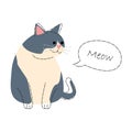 Bicolor fat cat . Cute cartoon characters . Flat shape and line stroke design .