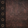 Bicolor leather vintage background