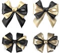 Bicolour satin bows isolated on white.