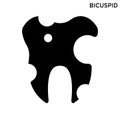 Bicuspid icon dentist concept white background