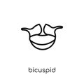 Bicuspid icon. Trendy modern flat linear vector Bicuspid icon on