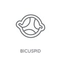Bicuspid linear icon. Modern outline Bicuspid logo concept on wh