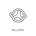 Bicuspid linear icon. Modern outline Bicuspid logo concept on wh Royalty Free Stock Photo