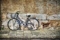 Bicycle against a rustic wall in Tuscany Royalty Free Stock Photo