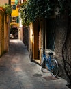 The Bicycle in the alley