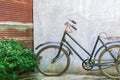 Bicycle Antique Broken Old and rust Royalty Free Stock Photo