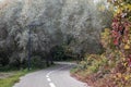 Bicycle asphalt road curve in green city park Royalty Free Stock Photo