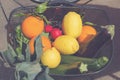 Bicycle basket filled with fresh fruits and vegetables from marketplace. Royalty Free Stock Photo