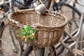 Bicycle basket with flowers