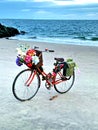 Bicycle with basket flowers offshore colorful