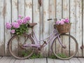 Bicycle with basket of peony flowers in front leaning against the whitewashed wooden fence against the background of a blurry Royalty Free Stock Photo