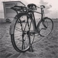 The Bicycle in the Beach