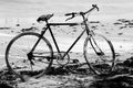 Bicycle on beach, Zanzibar