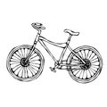 Bicycle or Bike Realistic Vector Illustration Isolated Hand Drawn Doodle or Cartoon Style Sketch. Royalty Free Stock Photo