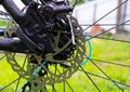 Bicycle brake disc on green grass background. Royalty Free Stock Photo