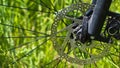 Bicycle brake disc on green grass Royalty Free Stock Photo