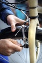 Bicycle brakes, adjustable pads.