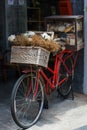 Bicycle with Bread and food Decorated