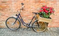 Bicycle carrying flowers Royalty Free Stock Photo