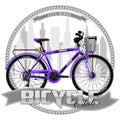 Bicycle of a certain type, on symbolic background.