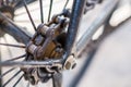 Bicycle chain macro, closeup of old bicycle chain Royalty Free Stock Photo