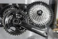 Bicycle crank and rear cassette Royalty Free Stock Photo