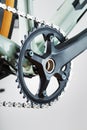 Bicycle crank system with chain close-up, mechanism for repair