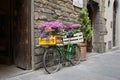 Bicycle with Flowers and Crates Leaning Against a Stone Wall in Florence, Italy Royalty Free Stock Photo