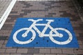 Bicycle crossing painted in blue and white Royalty Free Stock Photo