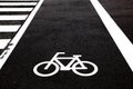 Bicycle crossing Royalty Free Stock Photo