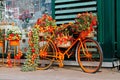 Bicycle decorated with autumn flowers, leaves, pumpkins and corns Royalty Free Stock Photo