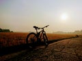 A bicycle on the edge of a rice field in the morning