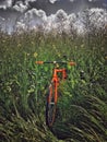 Bicycle in a field